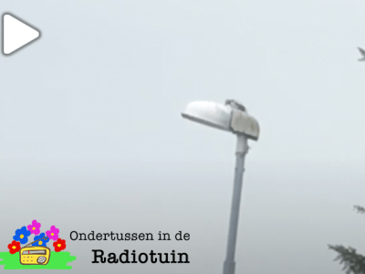 Radiotuin Filmpje 5: Specht roffelt op bomen en&nbsp;lantaarns