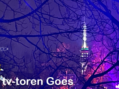 Kleurexplosie tijdens Veste&nbsp;Verlicht