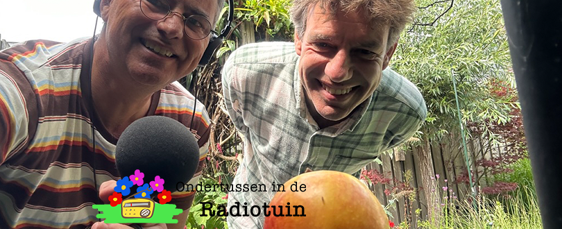 Hoe dan? Een vlinder zonder&nbsp;vleugels