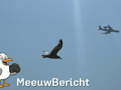 Zie me vliegen; allebei met&nbsp;vleugels