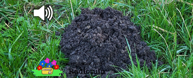 Onder de grond heeft de mol zijn eigen huis&nbsp;gegraven