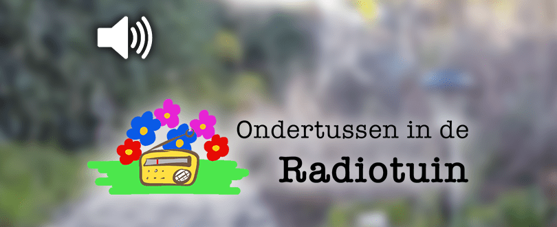 De cluster-vlieg overwintert met honderden bij&nbsp;elkaar